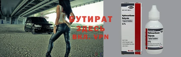 ГАЛЛЮЦИНОГЕННЫЕ ГРИБЫ Гусев