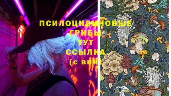 МДПВ Нефтекумск